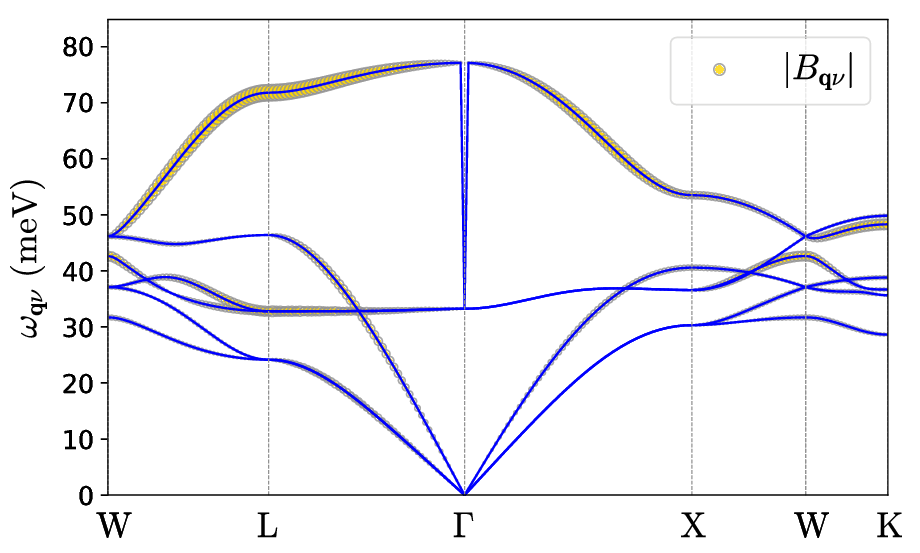 Phonon contributions to the exciton polarons in LiF. The size of the yellow discs represents the contribution from each individual phonon modes.
